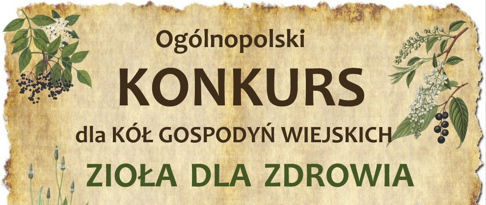 zajawka