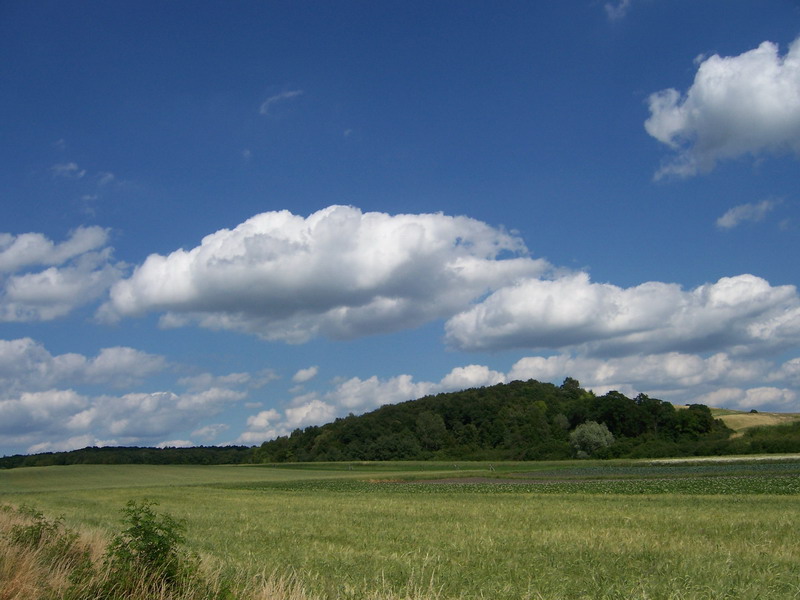 fot. Tadeusz Sempioł